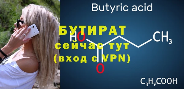 индика Бородино