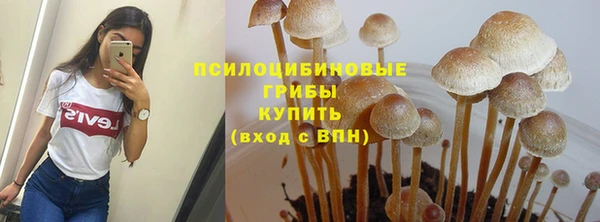 индика Бородино