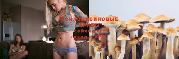 герыч Приозерск