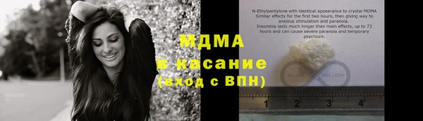 индика Бородино