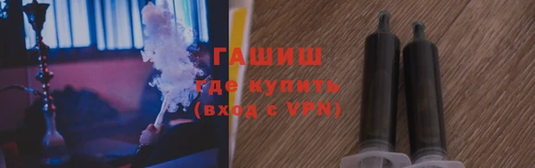 индика Бородино