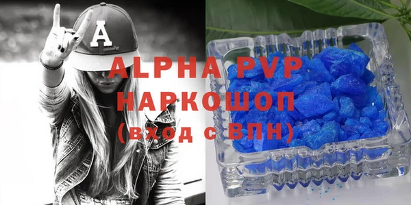 индика Бородино