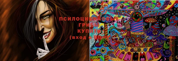 мдпв Верея