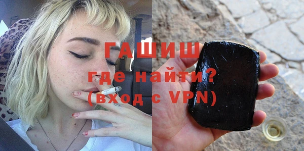 индика Бородино