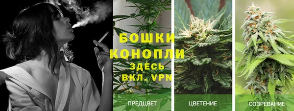 дмт Бугульма