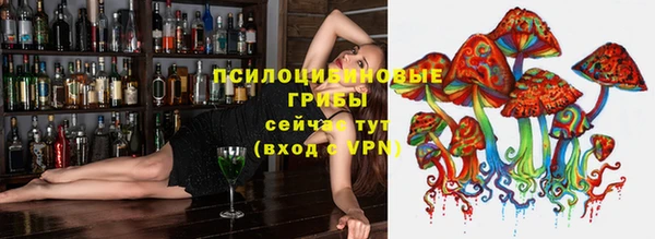 индика Бородино
