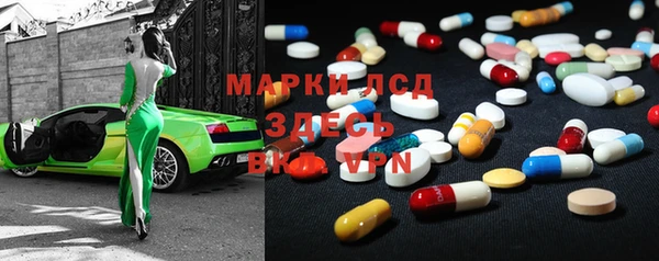 индика Бородино