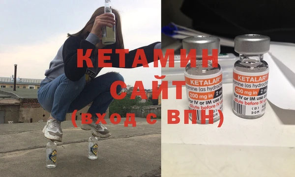 индика Бородино