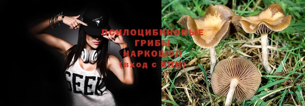 дмт Бугульма