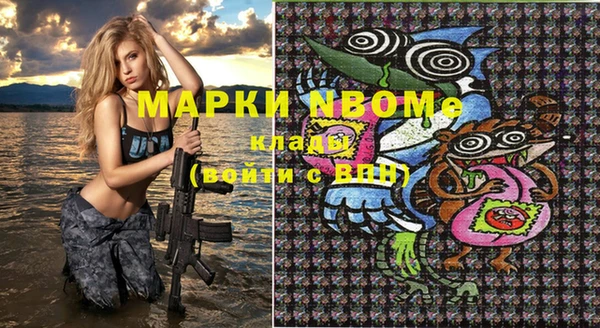 мдпв Верея