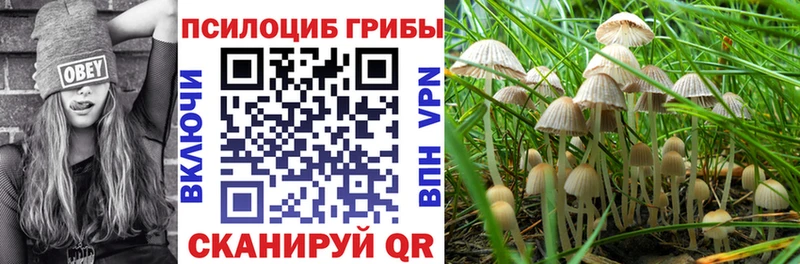 Галлюциногенные грибы Cubensis  Закаменск 