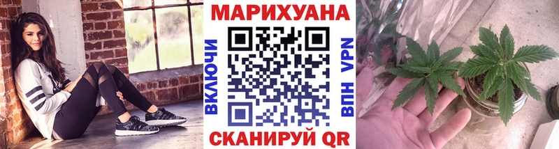 Бошки Шишки OG Kush  что такое   Закаменск 